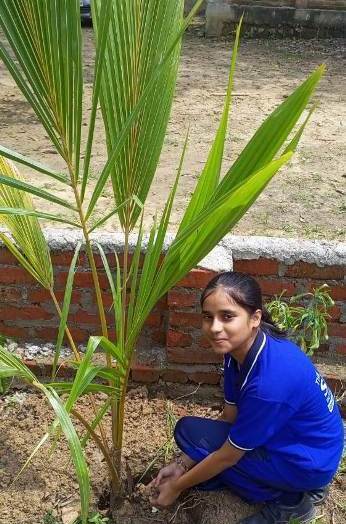 ECO CLUB ACTIVITY EK  PED KE NAAM 2.0